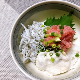 焼津のしらすねぎとろ丼